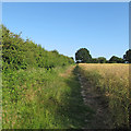 Footpath on field boundary, near Nine Ashes Farm