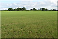 Footpath across the field to Syresham