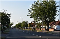 TM1943 : Bixley Road, Ipswich by Simon Mortimer