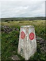 SD6612 : Trig Pillar North of Matchmoor Lane by Gary Rogers