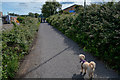 Barnstaple : Footpath