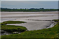 Barnstaple : River Taw