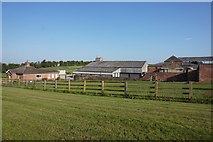 SE9139 : Sancton Hill Farm, Beverley Lane near Sancton by Ian S