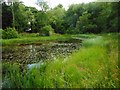 Small lochan, Dougalston Golf Course