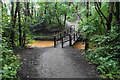 Footbridge over Hindsford Brook