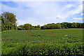 Staffordshire farmland south of Wildwood near Stafford