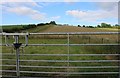 Field by Blandford Road, Coombe Bissett