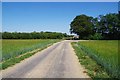 Towards Wickham Hall