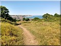 Townsend Nature Reserve, Swanage