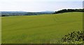 View towards Markinch