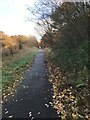 Public Footpath off Moss Way