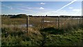 Field near Normanton Common