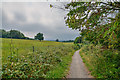 Abbots Leigh : Footpath