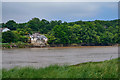 ST5376 : Abbots Leigh : River Avon by Lewis Clarke