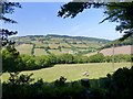 View from Willett Hill, West Somerset