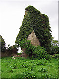 S1180 : Castles of Munster: Clonakenny, Tipperary (1) by Garry Dickinson