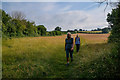 Wraxall and Failand : Grassy Field