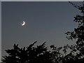 Moonrise on a summer evening