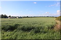 Field by Mill Farm, Beachampton