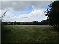 Grass field near Denford