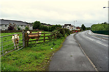 H4573 : St Julian's Road, Mullaghmore by Kenneth  Allen