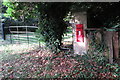 Victorian post box by the entrance to Strawberry Hill Farm