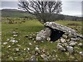 SH6022 : Cors-y-Gedol burial chamber by David Medcalf
