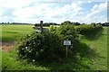 Junction of bridleways