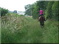 A horse and rider on Mead Run