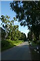 Looking along Cliffe Lane