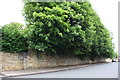 Stone wall in front of Ashwell House, Ashwell Road