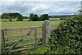SE7566 : Farmland near Westow Lodge by DS Pugh