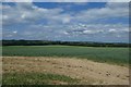 SE7866 : Farmland north of Kennythorpe by DS Pugh