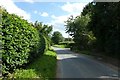 Hedge in Kennythorpe