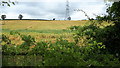 Pylon lines over the barley near Templtonburn