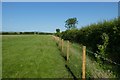 Fence along the field