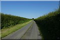 Driveway to Scrayingham Grange