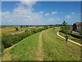 Earth bank between by-pass and North Bersted