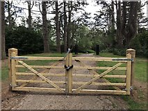 TF6728 : New gates blocking the scenic drive through the Sandringham Estate by Richard Humphrey