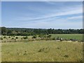 Northern view from Prospect Hill