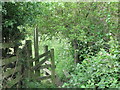 Path Entrance Near Mare Close Farm, Seghill