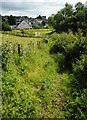 NS5473 : Overgrown footpath by Richard Sutcliffe