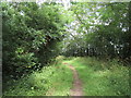 Bridleway alongside Vicarage Spinney