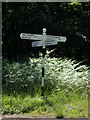 TG1417 : Signpost on Felthorpe Road by Geographer