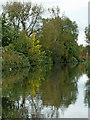 Canal north of Fordhouses in Wolverhampton