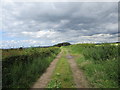 Farm track between Hills and Hailstonemyre