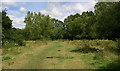 Valley of the River Bourne (or Shode) east of Dunk