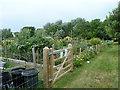 Allotments, Hythe