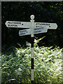 TG1417 : Signpost on Felthorpe Road by Geographer