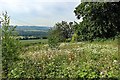 Former garden plot below Heddon Banks Farm